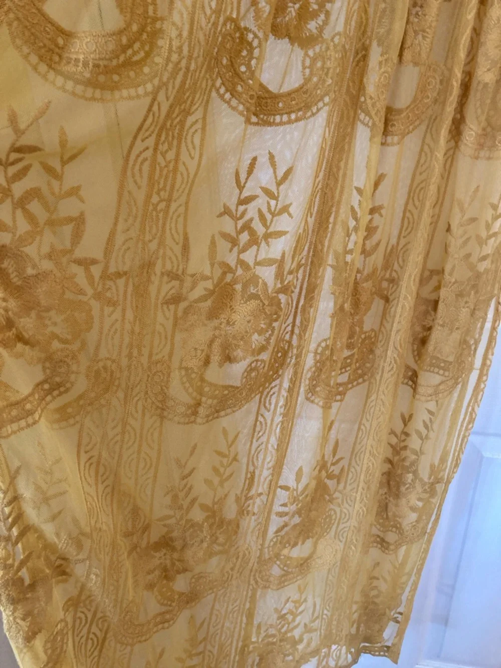 Honey Punch Sheer Lace Maxi Dress with Deep V Neck - Picture 5 of 9